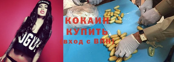 шишки Заволжье