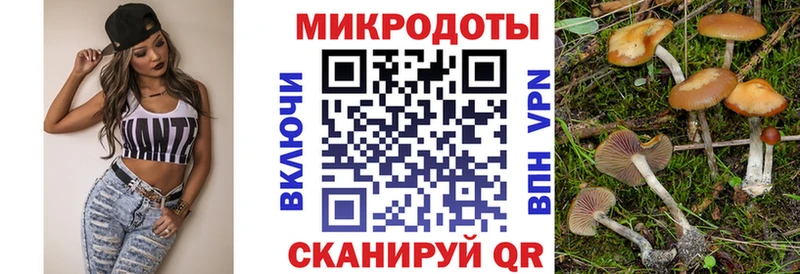 Галлюциногенные грибы прущие грибы  MEGA ссылки  Дятьково  цены  