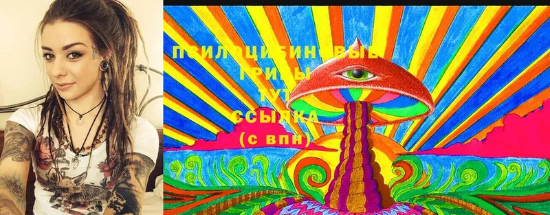 как найти закладки  Дятьково  Псилоцибиновые грибы Cubensis 