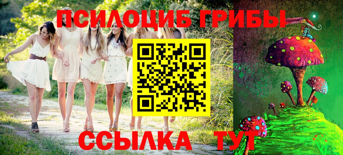 Псилоцибиновые грибы Psilocybine cubensis  Галлюциногенные грибы мухоморы  Дятьково  Вход с VPN 