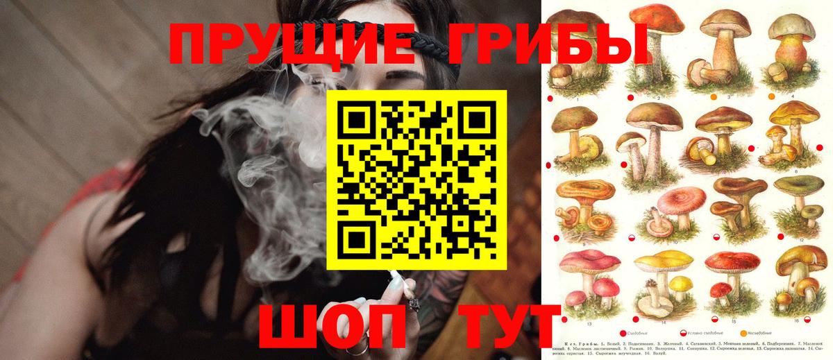 Псилоцибиновые грибы мухоморы Дятьково