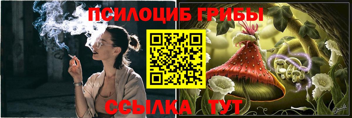 Меф Дятьково