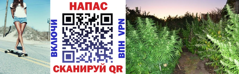 МАРИХУАНА SATIVA & INDICA  Дятьково 